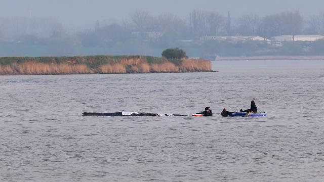 Bild: Fotografie: Bilder des Tages