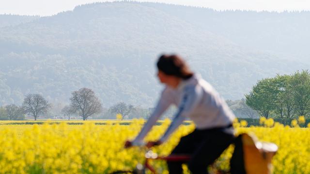 Wetter: Frühsommerlicher Start ins Wochenende - doch bleibt es so?