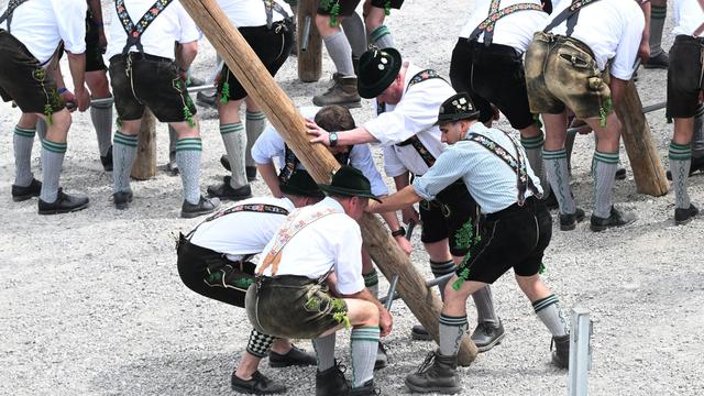 Brauchtum: »Maibaum Hunters« - Serie über das Maibaum-Klauen in Bayern