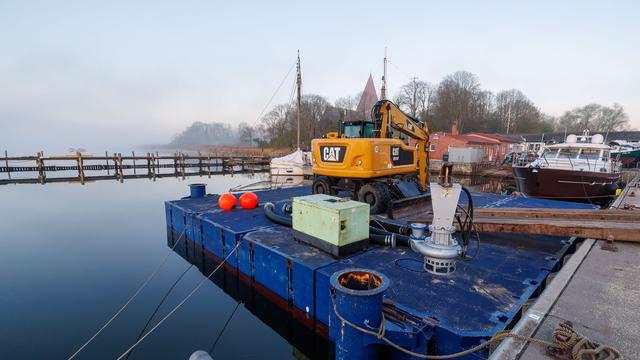Walrettung: Tierärztin von Rettungsgruppe: Wal hat reelle Chance