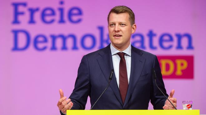 Krise der FDP: Höne startet mit Rückenwind in Kampf um FDP ...