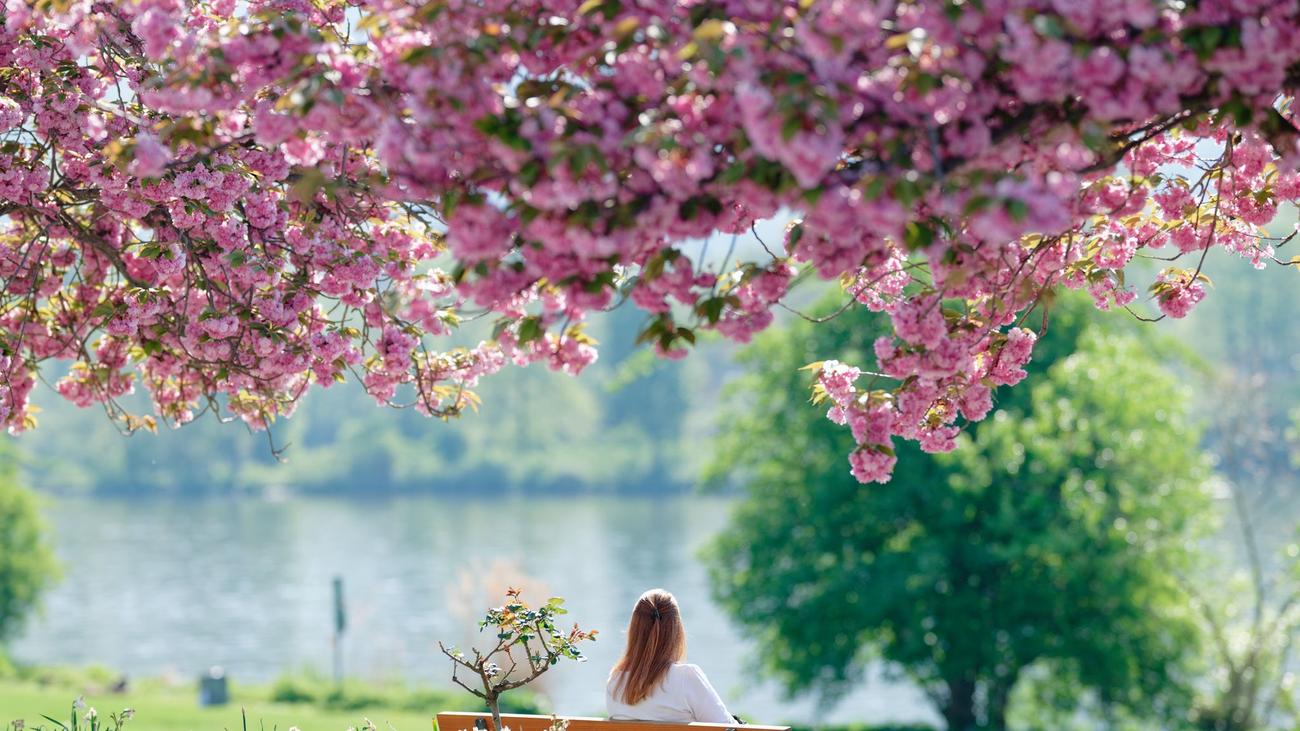 Wetter in Baden-Württemberg: Sonniger Start ins Wochenende – doch es soll auch regnen
