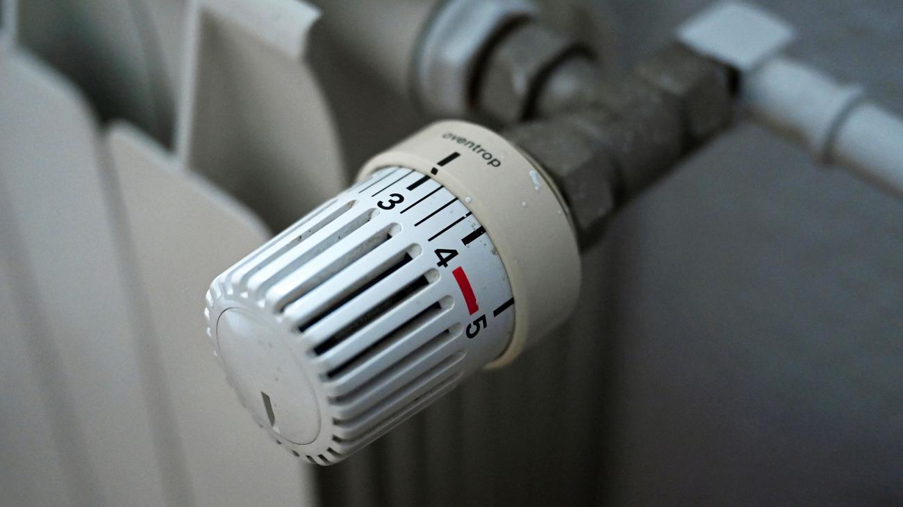 Wohnen: WWF: Vermieter sollen Extra-Heizkosten tragen