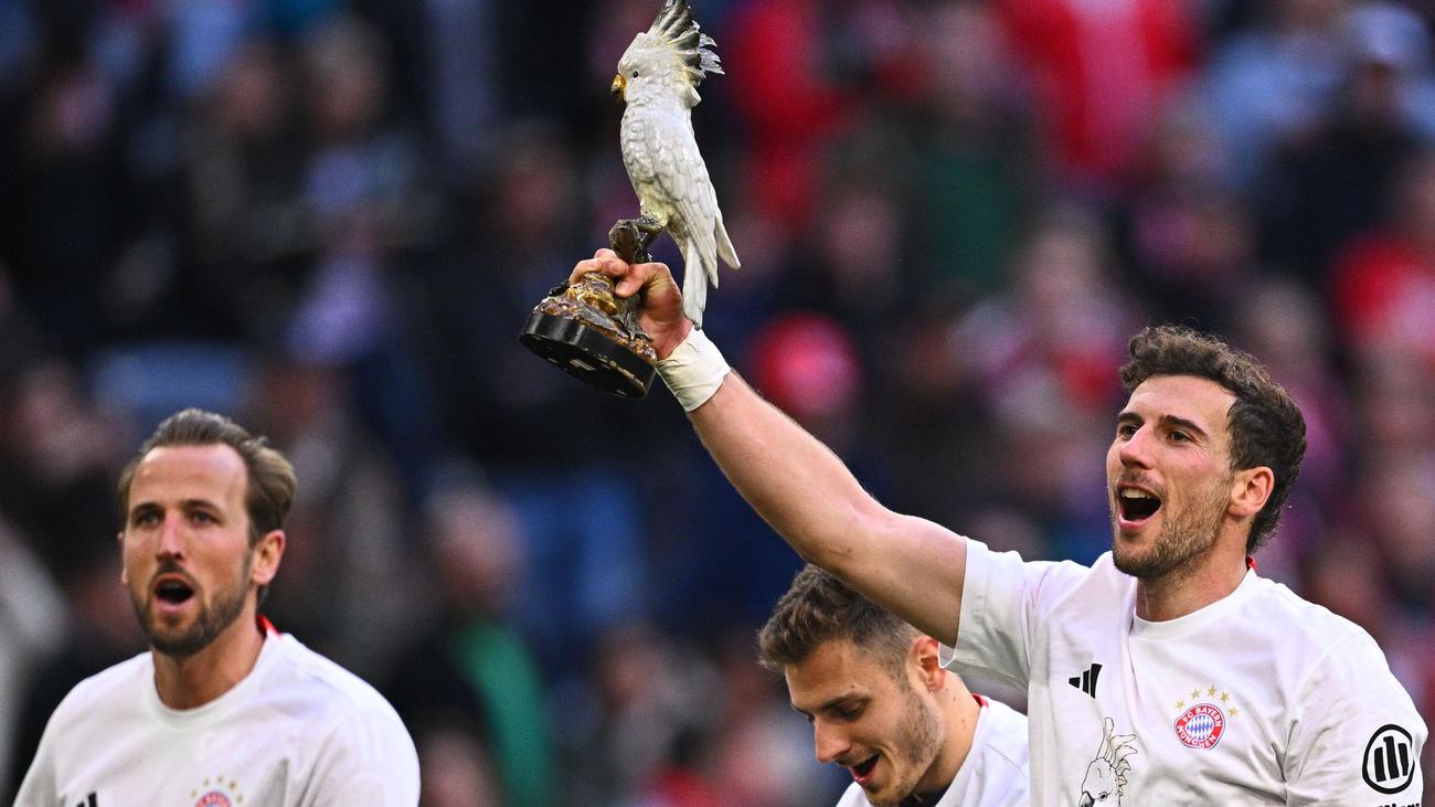 Fußball-Bundesliga: Warum der FC Bayern mit einem Kakadu feiert