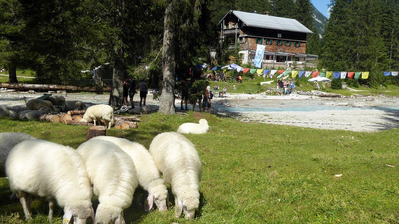 Vom Wildwasser mitgerissen: Bergführer nach Tod einer Kundin verurteilt