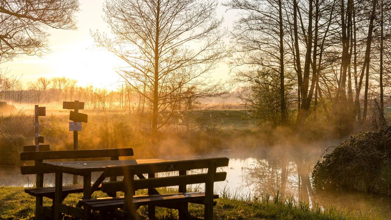 Wetter: Dauerregen in Berlin und Brandenburg bis zum Mittag