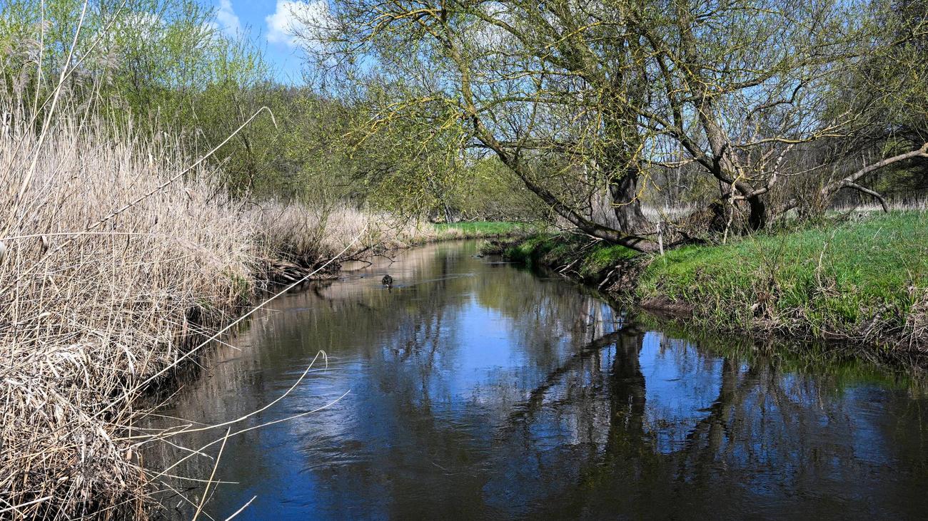 Schnelle Fließgeschwindigkeit: Hochwasseralarm an der Stepenitz in der Prignitz