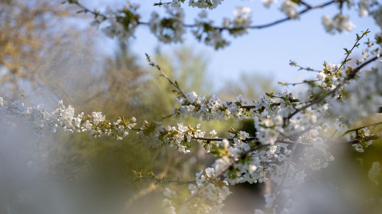 Wetterbericht: Kalter Start, dann Sonne – Bayern-Wetter schlägt Haken