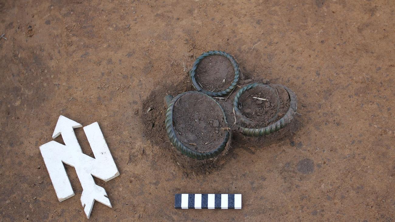 Archäologischer Fund: Sondengänger entdeckt Bronzezeit-Ringe