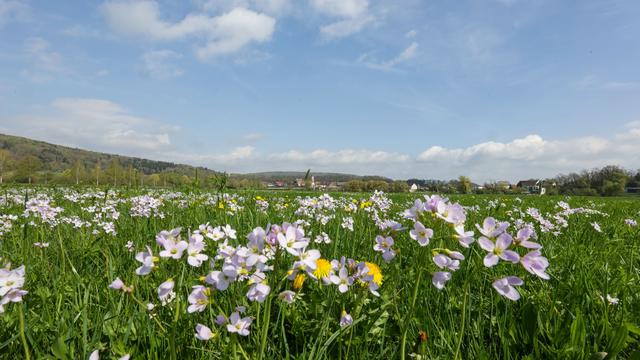 Wetter-Aussichten: Tagsüber fast 20 Grad, nachts Minusgrade