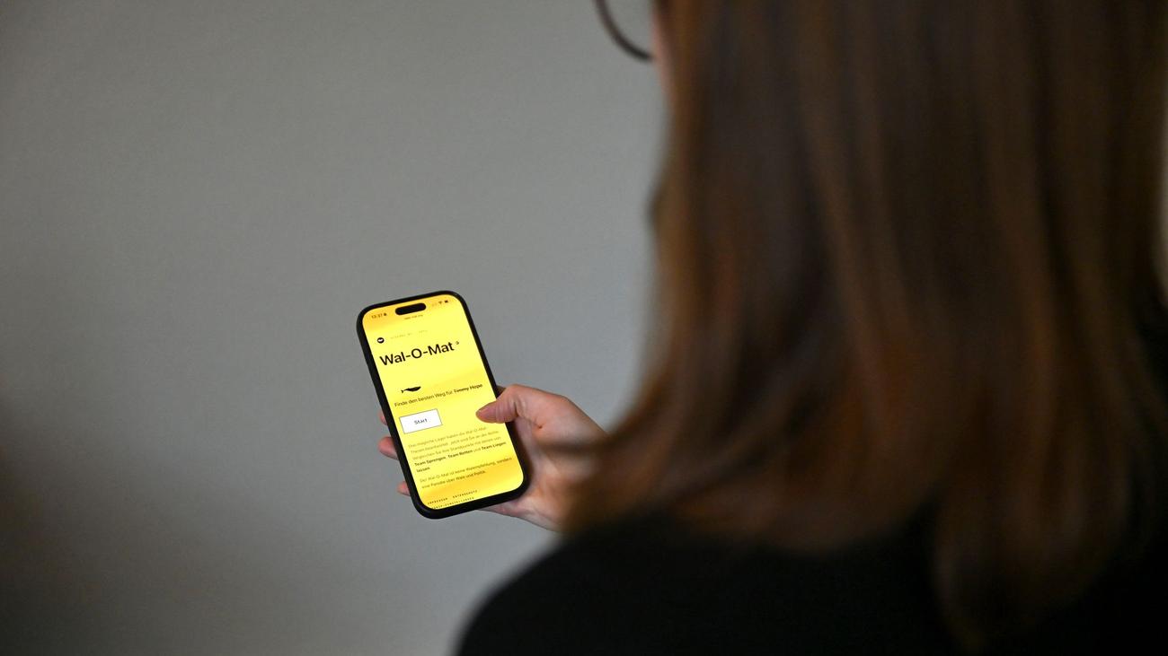 Gestrandeter Wal in der Ostsee: »Wal-O-Mat« zu gestrandetem Buckelwal online