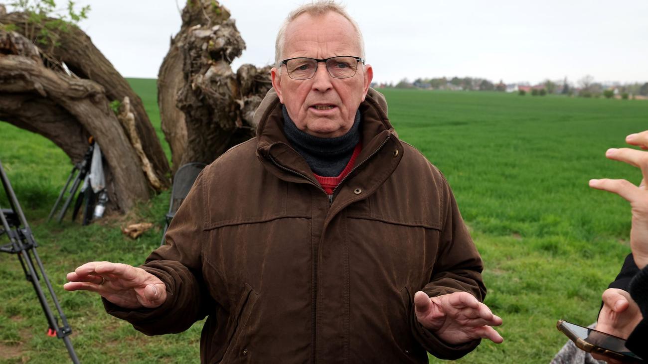 Gestrandeter Buckelwal: Backhaus nach nächtlicher Kontrolle: »Wal liegt ruhig«