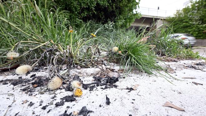 Obduktion angeordnet: Auch zwei Tage nach dem Vorfall sind die Spuren noch zu sehen.