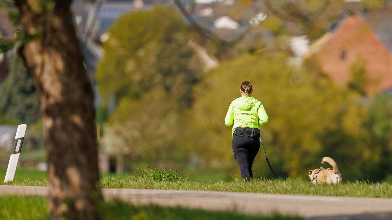 Wettervorhersage: Milde Temperaturen und zunehmend Sonne in Hessen