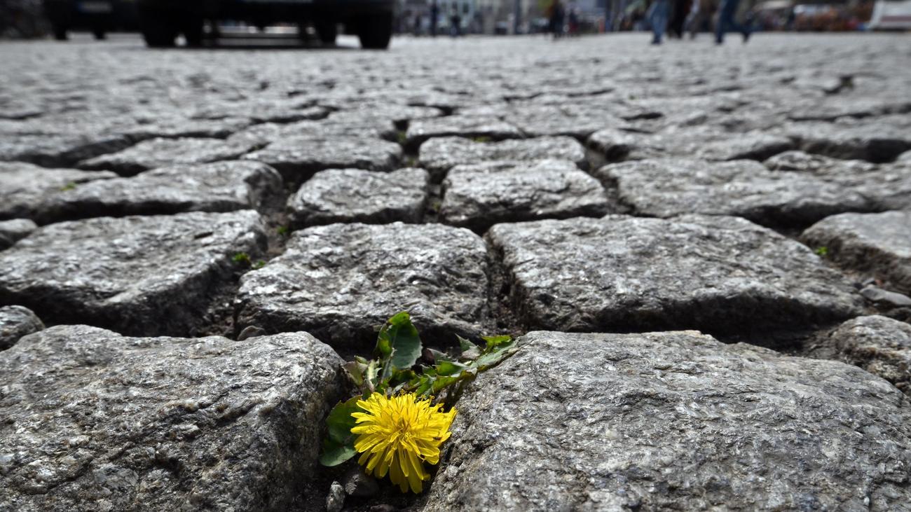 Wetter: Regen zieht ab – Sonne kehrt nach Thüringen zurück