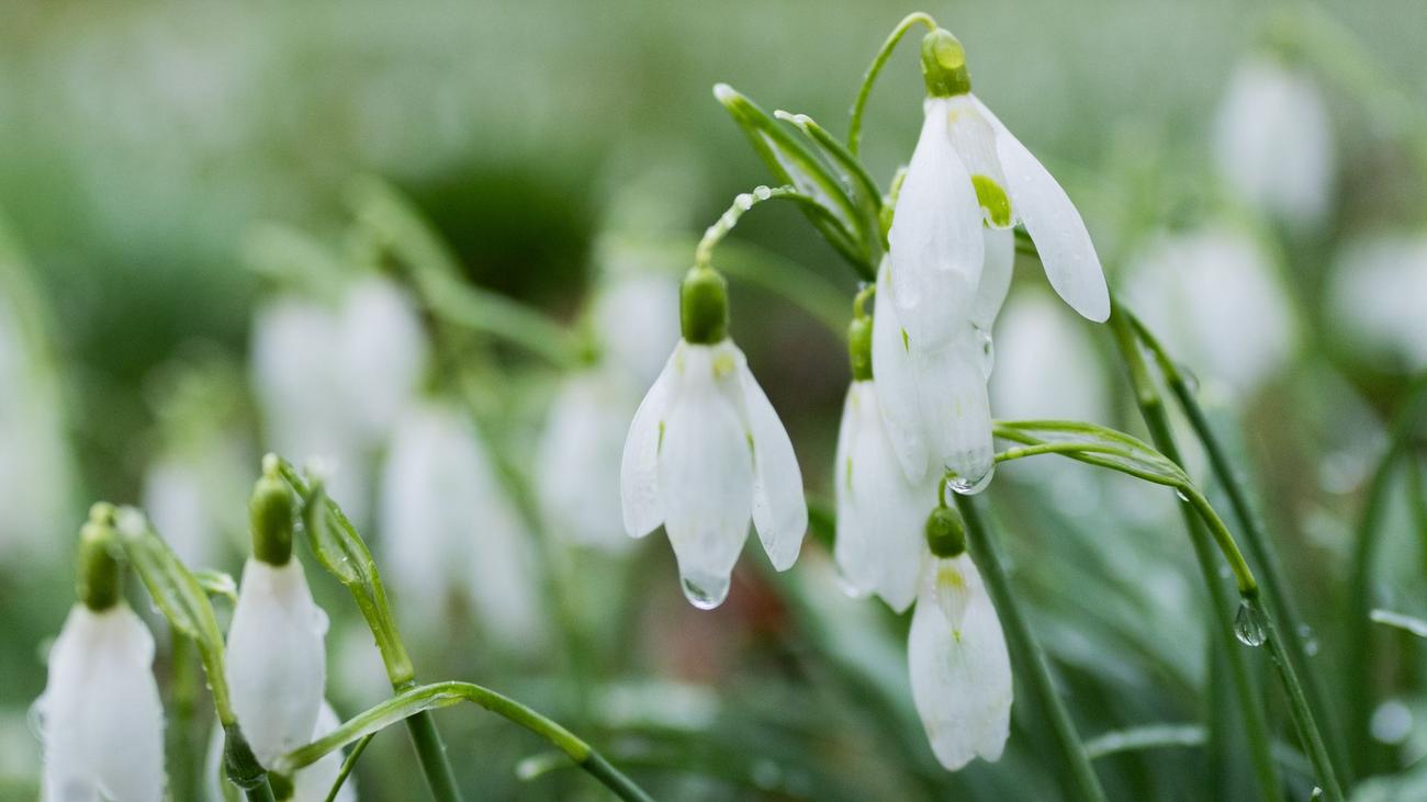 Wettervorhersage: Sonne im Norden, Regenschauer im Süden von NRW