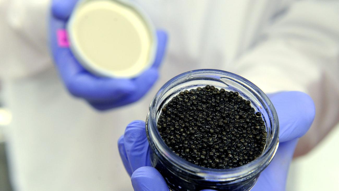 Kriminalität: Acht Kilo Kaviar in Reisegepäck entdeckt