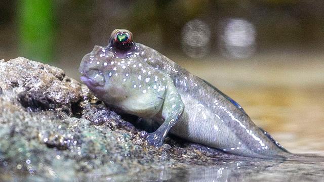 Fotografie: Bilder des Tages