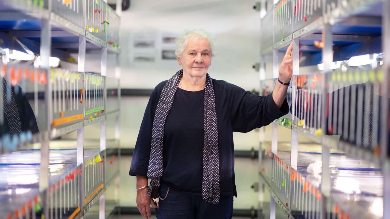 Wissenschaft und Schule: Nobelpreisträgerin Nüsslein-Volhard: »In Bio nur eine Zwei«