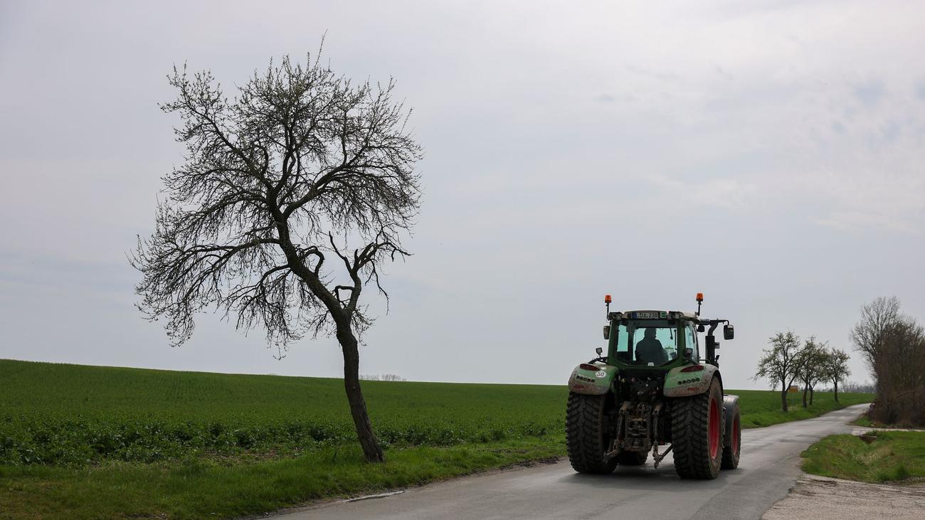 Obst und Gemüse: Steigende Energiekosten belasten Obst- und Gemüsebetriebe