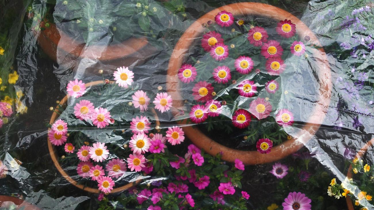 Bayern-Wetter: Bis zu 21 Grad am Tag - nachts Bodenfrost möglich