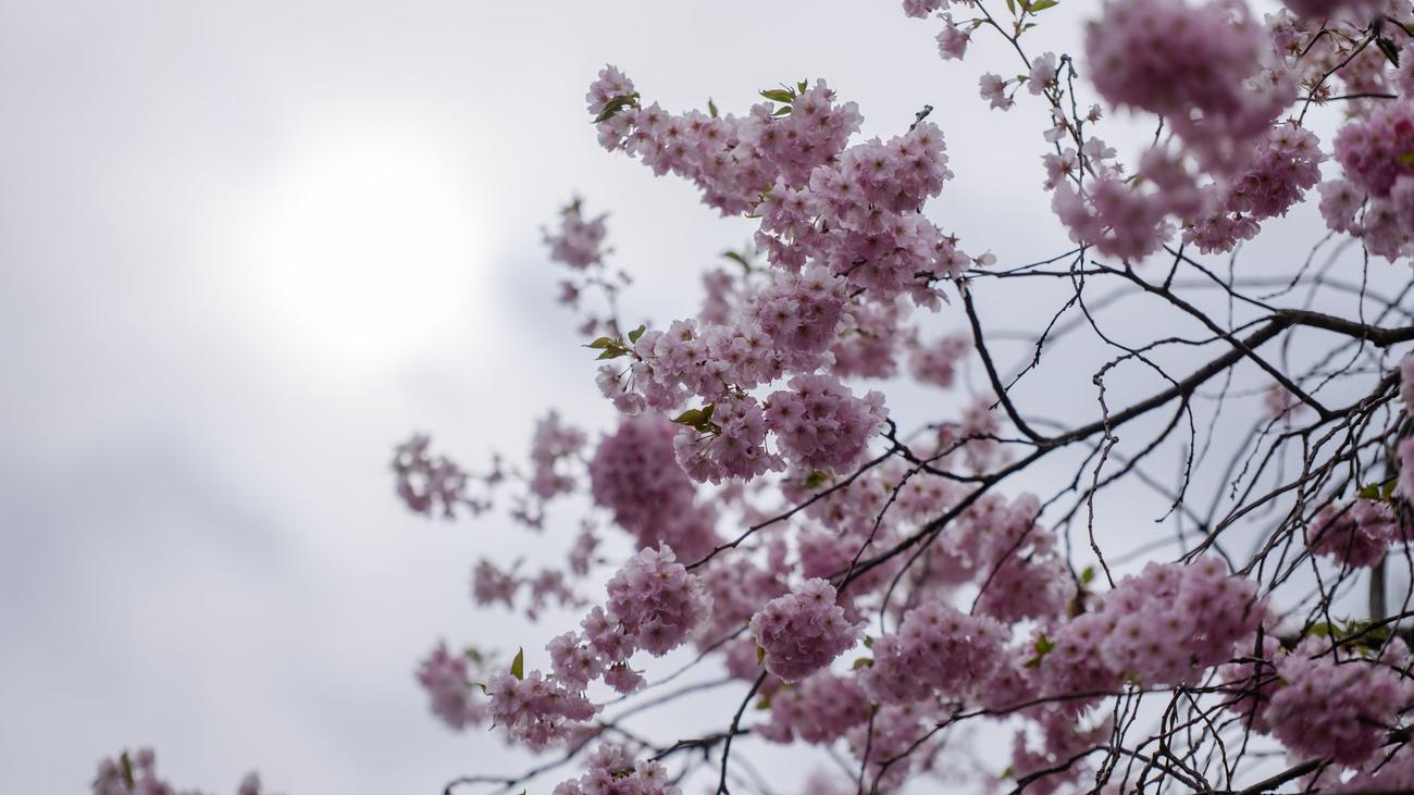 Wetter: Nebel und Sonne in Berlin und Brandenburg
