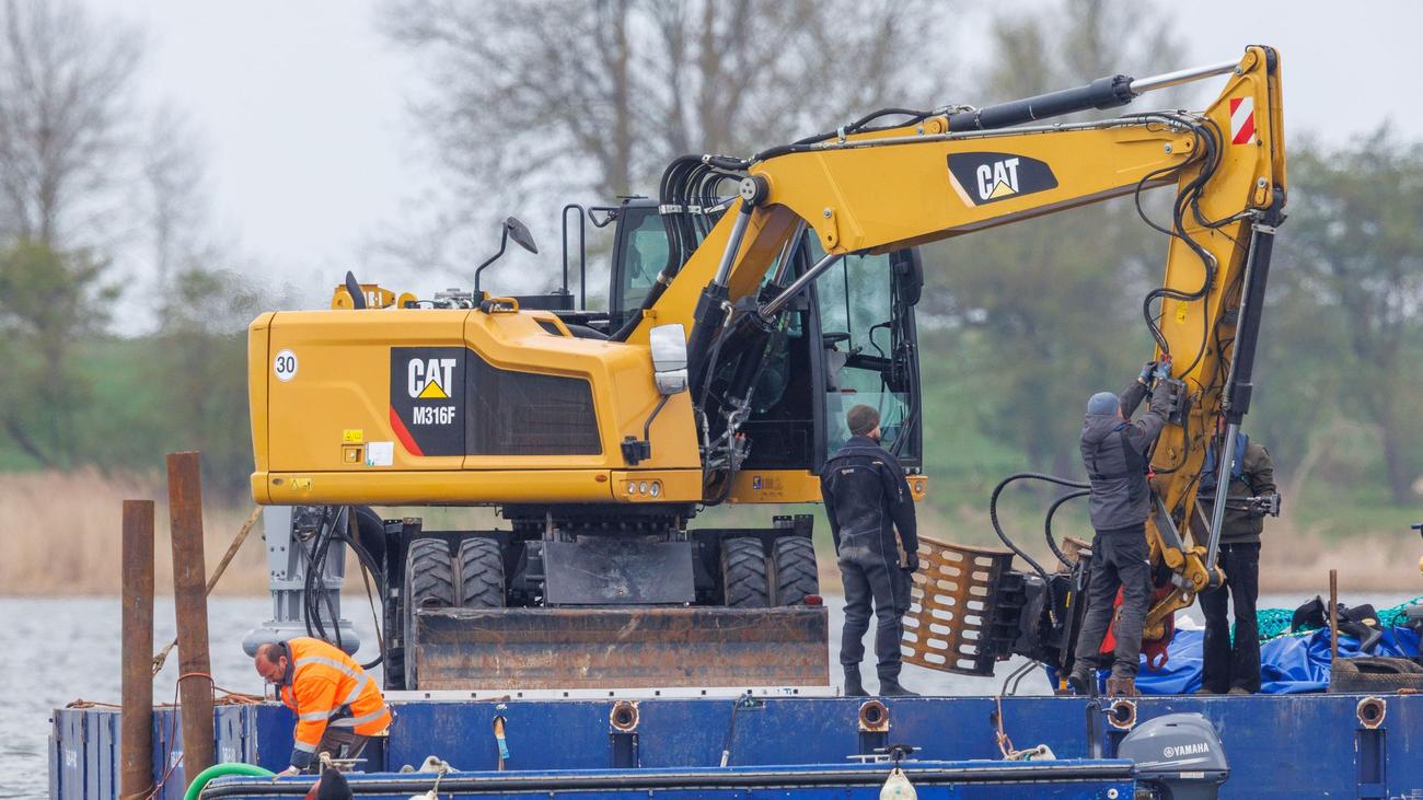 Gestrandeter Buckelwal: Neuer Rettungsplan kann Wal laut Tierschützern stressen