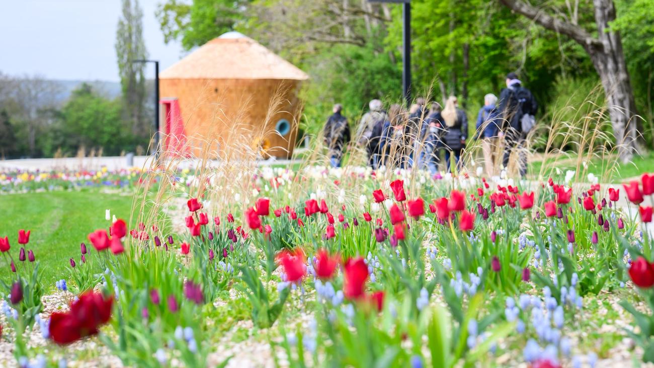 Bad Nenndorf: Bunte Blüten, weite Blicke: So wird die Landesgartenschau