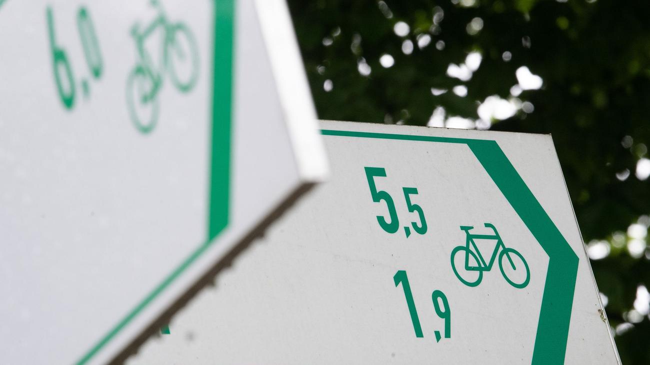 Infrastruktur: Diese Naturschutz-Reform möchte der Grünen-Verkehrsminister