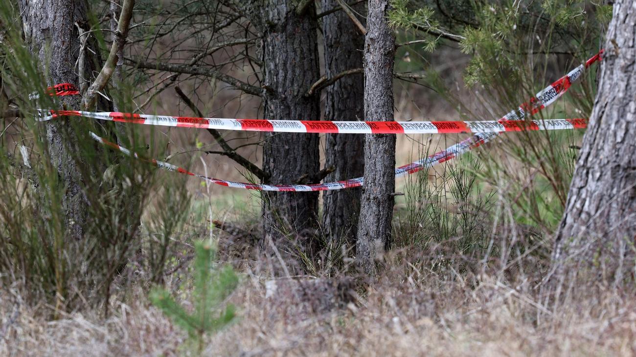 Skelettfund: Gefundene Skelettteile bei Kargow identifiziert