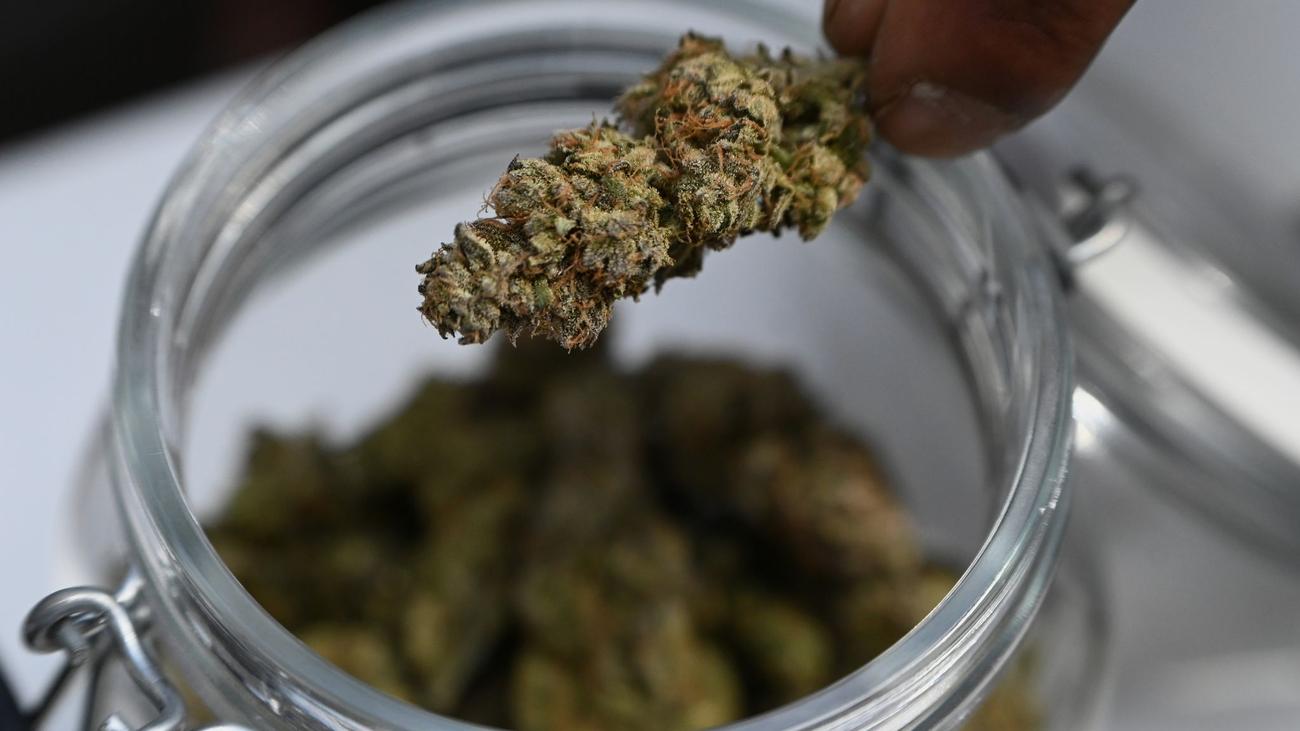 Kriminalität: Polizei stellt sieben Kilo Drogen sicher – Mann in U-Haft