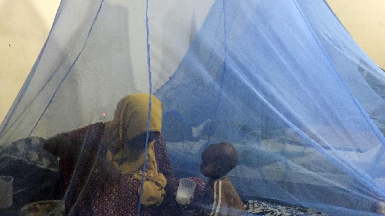 Gesundheit: WHO gibt erstmals Malaria-Medikament für Babys frei