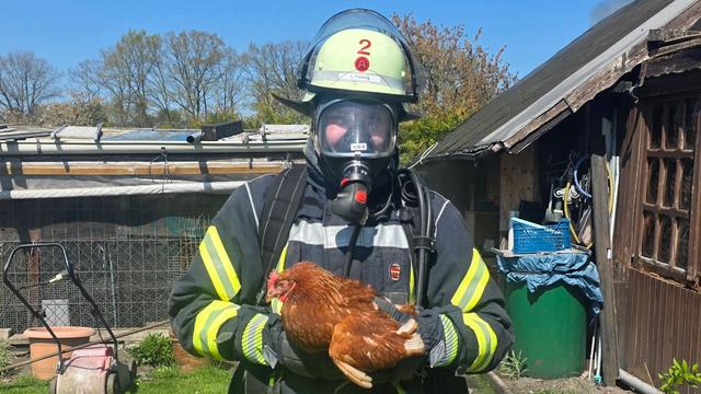 Einsatz: Feuerwehr rettet Hühner vor den Flammen