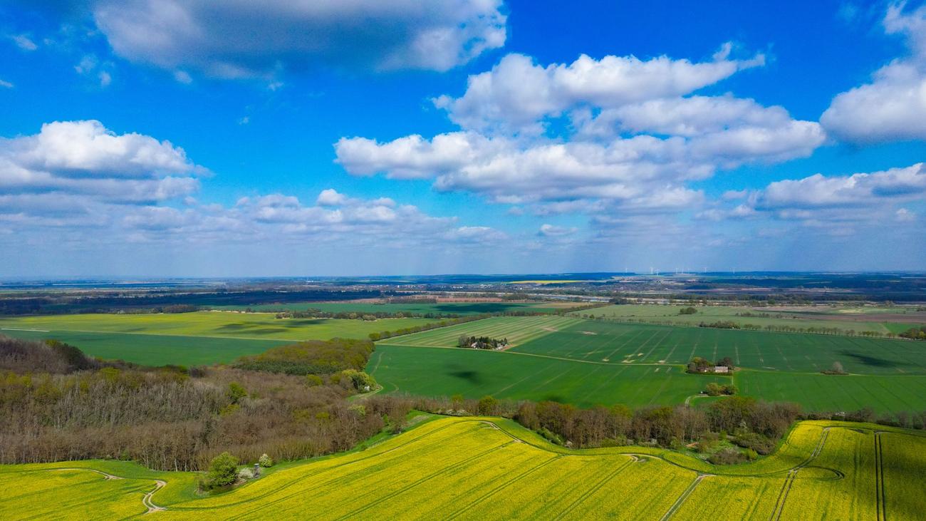 Wetter: Sonniges Frühlingswochenende in Berlin und Brandenburg