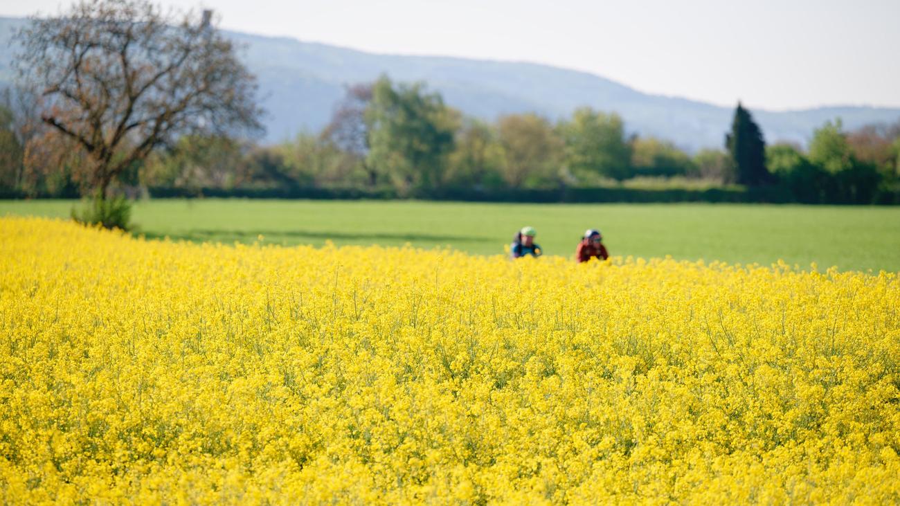 Wetter: Sonniges Wochenende im Südwesten