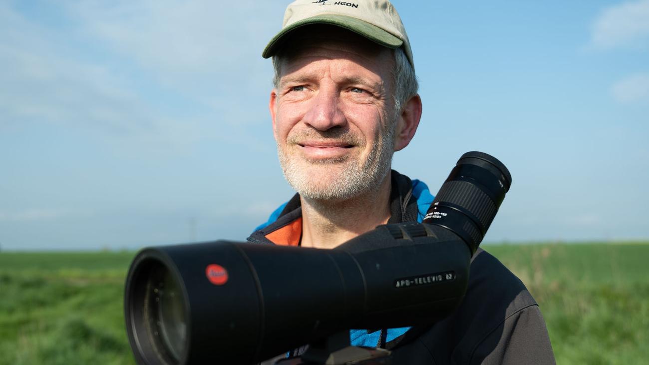 Wissenschaft: Hessens Vögel werden gezählt und jeder kann mitmachen