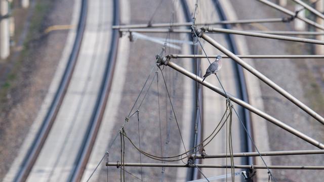 Bild: Bahnverkehr: Keine Züge am Ulmer Hauptbahnhof - ICE umgeleitet