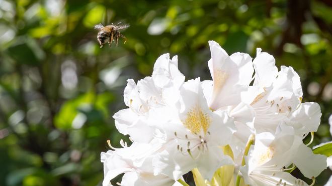 Wetterbericht: Die Temperaturen erreichen am Montag vielerorts um 20 Grad.
