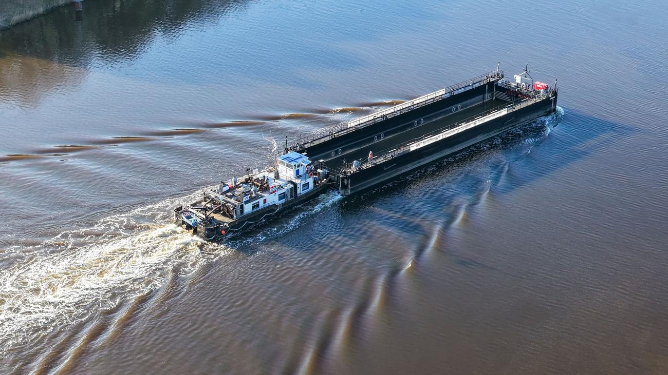 Gestrandeter Buckelwal: Wal vor Poel – diese Woche Abtransport per Lastkahn?