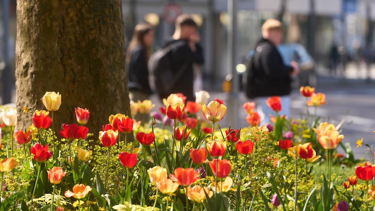 Wettervorhersage: Das Wetter in Rheinland-Pfalz und dem Saarland
