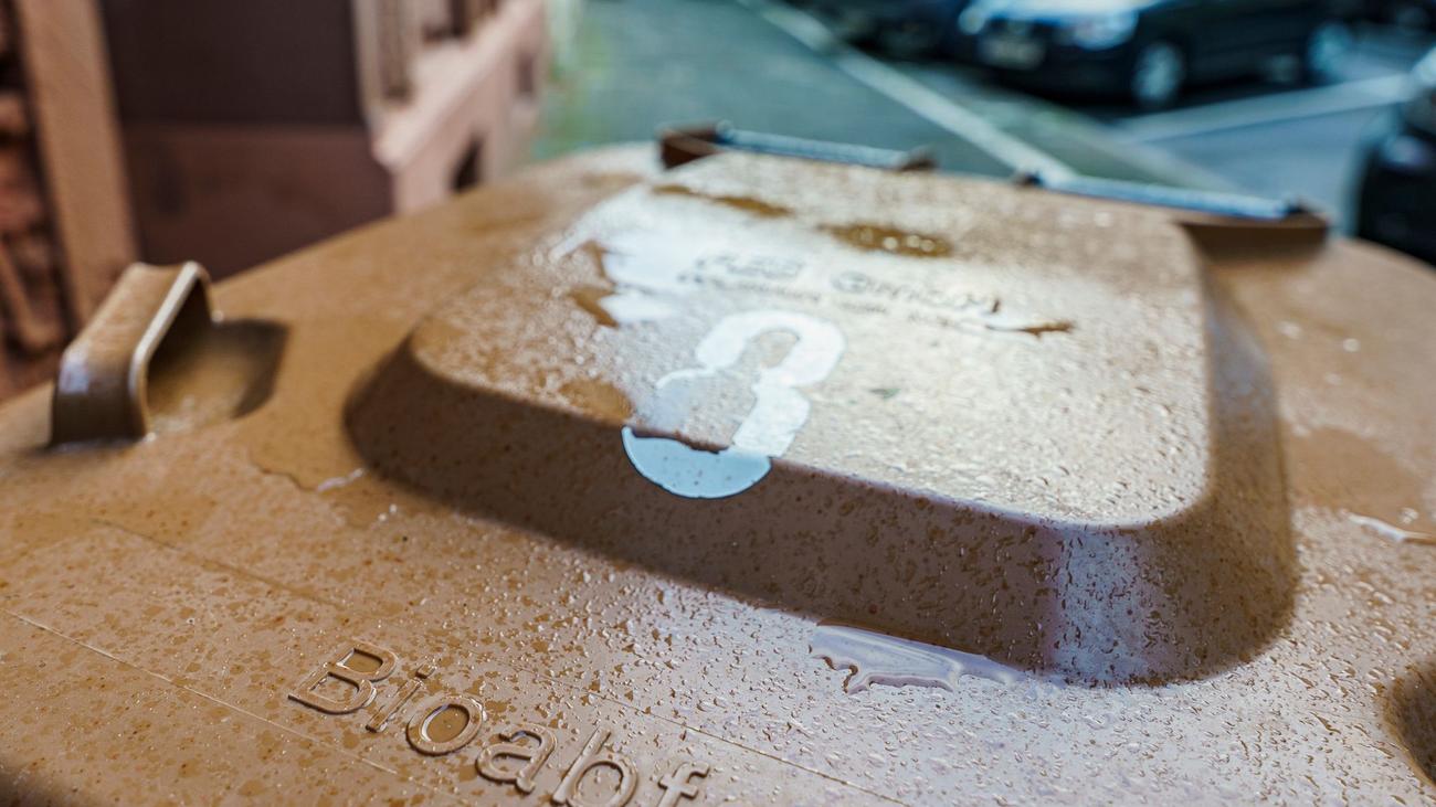 Justiz: Gericht: Eigener Kompost ersetzt Biotonne nicht