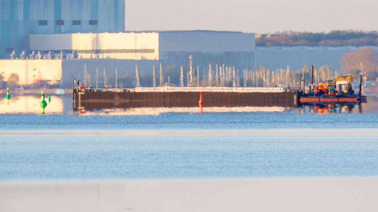 Meeressäuger in Not: Helfer für Buckelwal haben Arbeit wieder aufgenommen