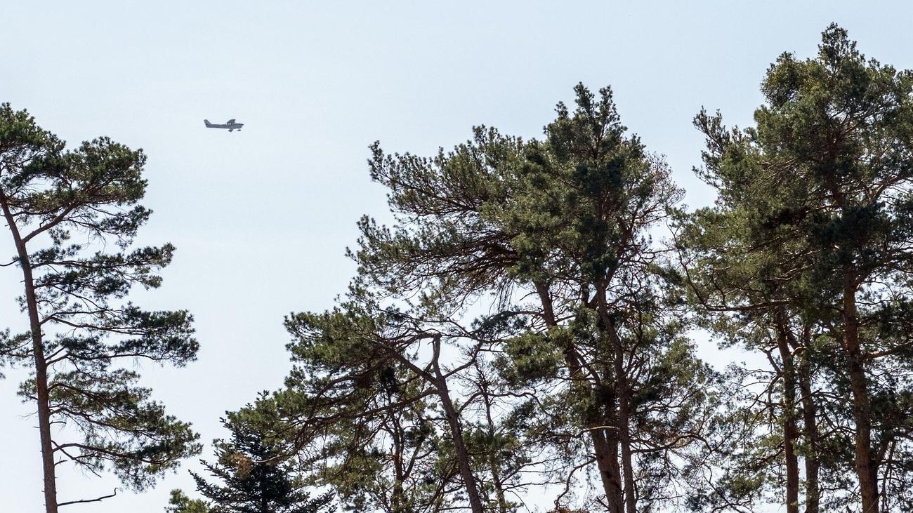 Wetter: Trockenes Aprilende – Waldbrandgefahr in Bayern steigt