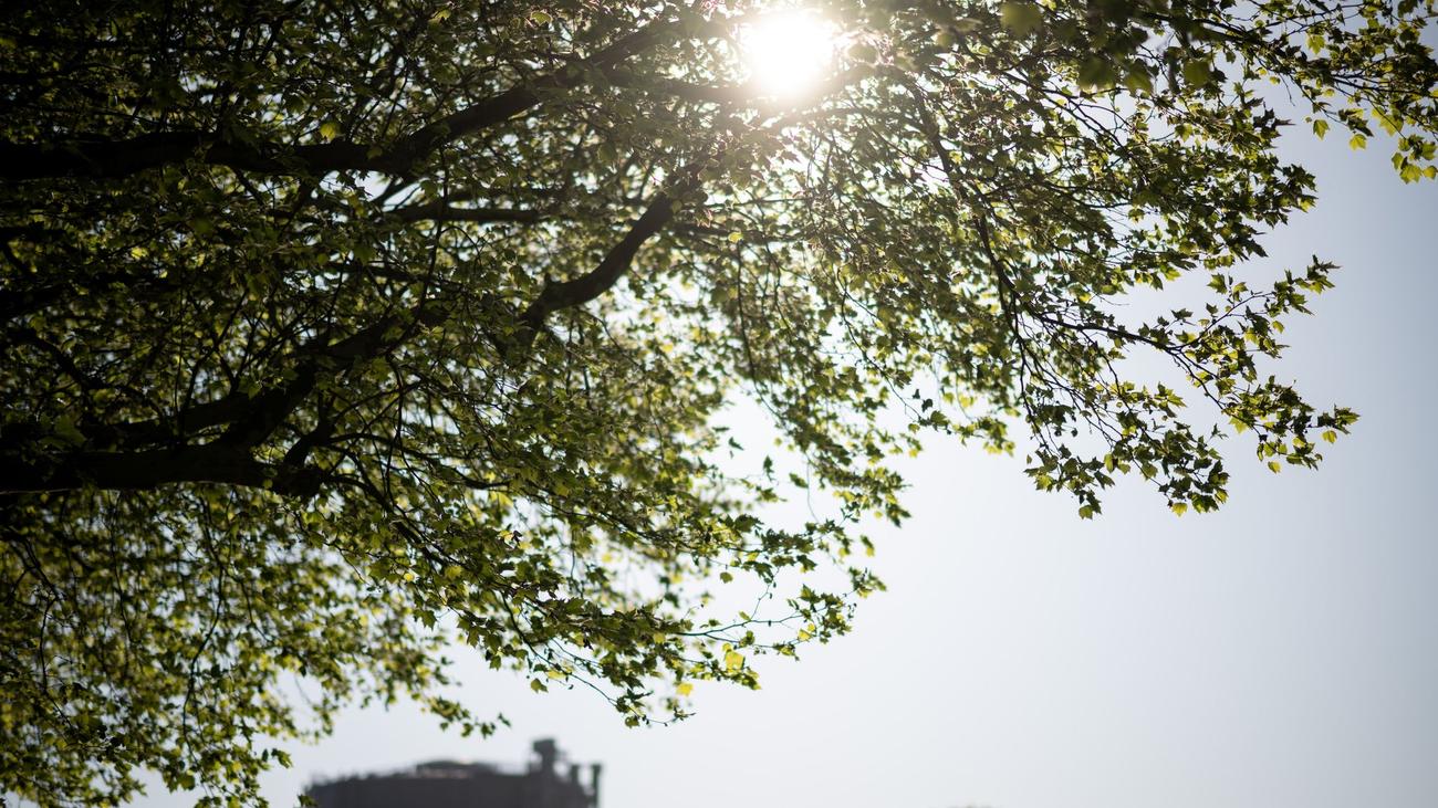 Nordrhein-Westfalen: April zeigte sich sonnig - und viel zu trocken