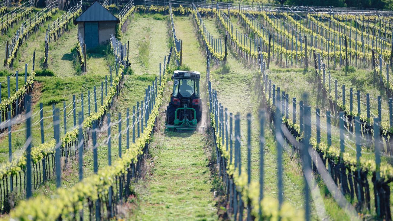 Wetter im Südwesten: Aprilende bringt Sonne - und wie wird das Wetter am 1. Mai?