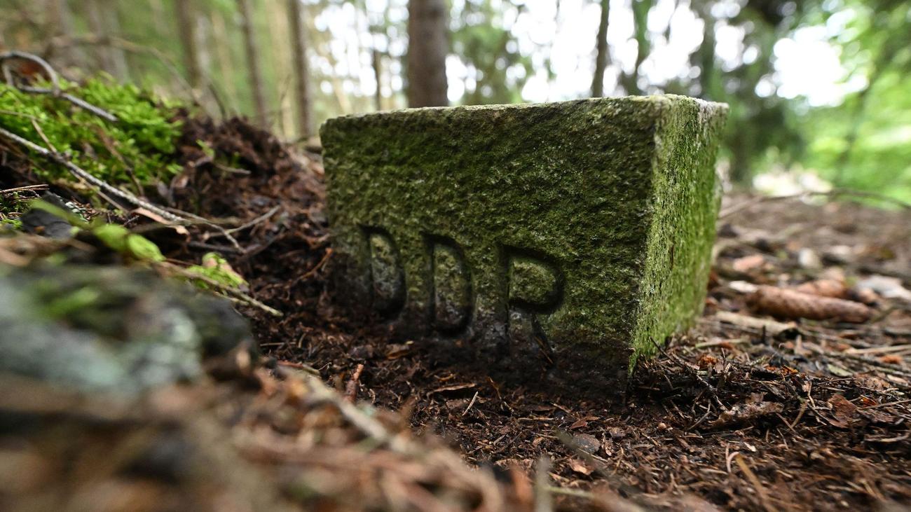 Umwelt: Ehemaliger Grenzstreifen wird Naturmonument