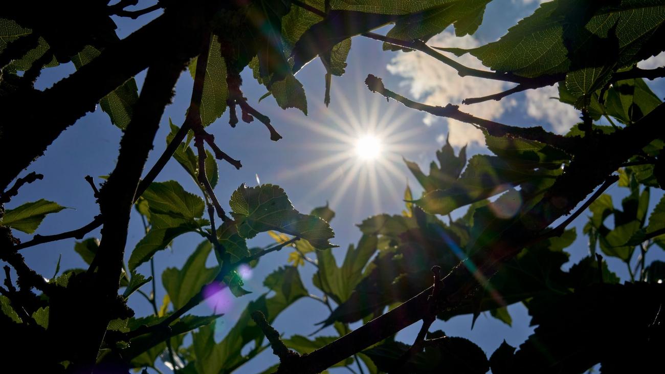 Viel Sonne: Im Saarland gab's im April die meiste Sonne