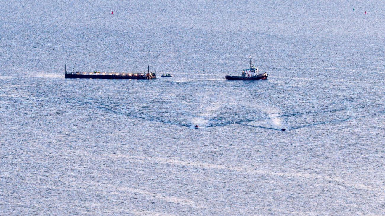 Wal-Transport im Stahlbecken: Sachverständige: Wal dürfte im tiefen Wasser kaum überleben