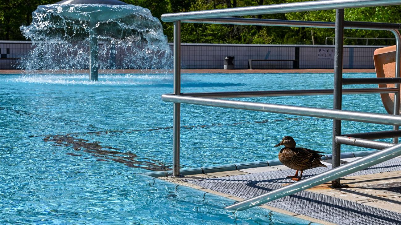 Ab 1. Mai: Das ist zum Start der Freibadsaison für Schwimmfans wichtig