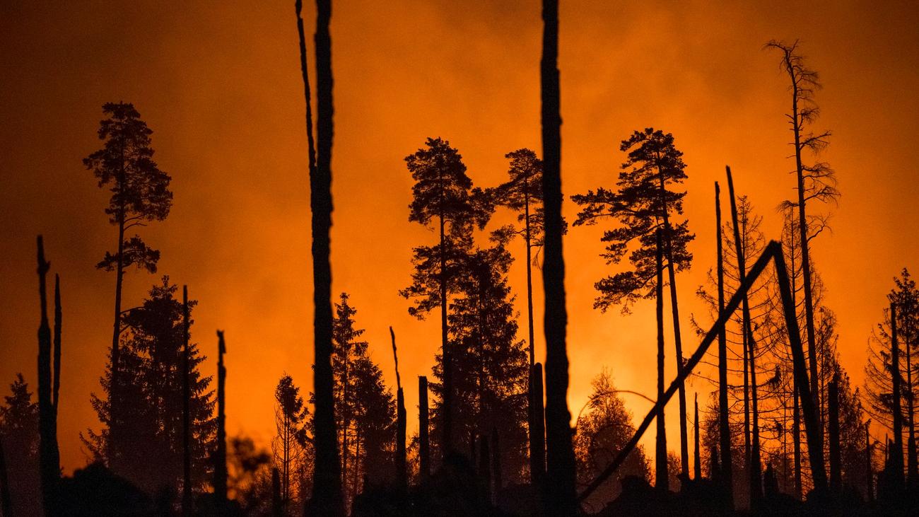 Kampf gegen Waldbrände: Thüringen plant mehr Löschwasserstellen in Wäldern